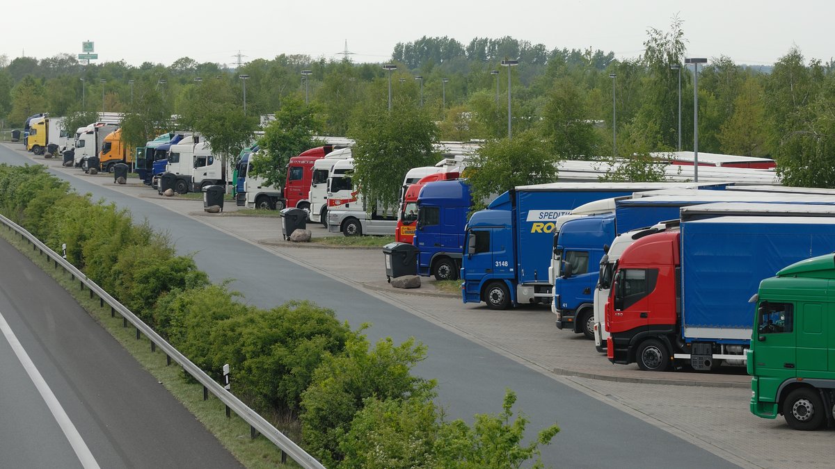 En lang række lastbiler med påhængsvogne holder parkeret tæt side om side på en rasteplads langs en motorvej, adskilt fra kørebanen af buske og et autoværn