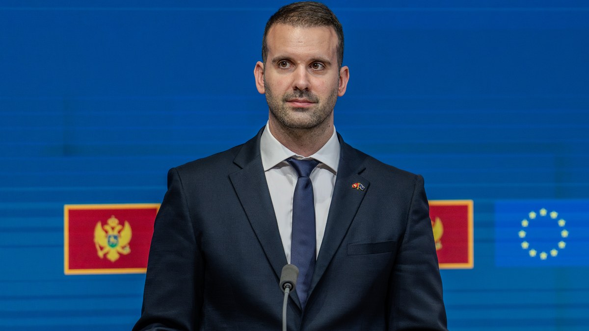 Delegater sidder rundt om et stort konferencebord under en EU-Montenegro tiltrædelseskonference